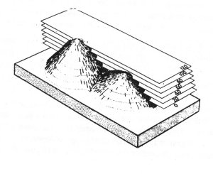 Resim1
